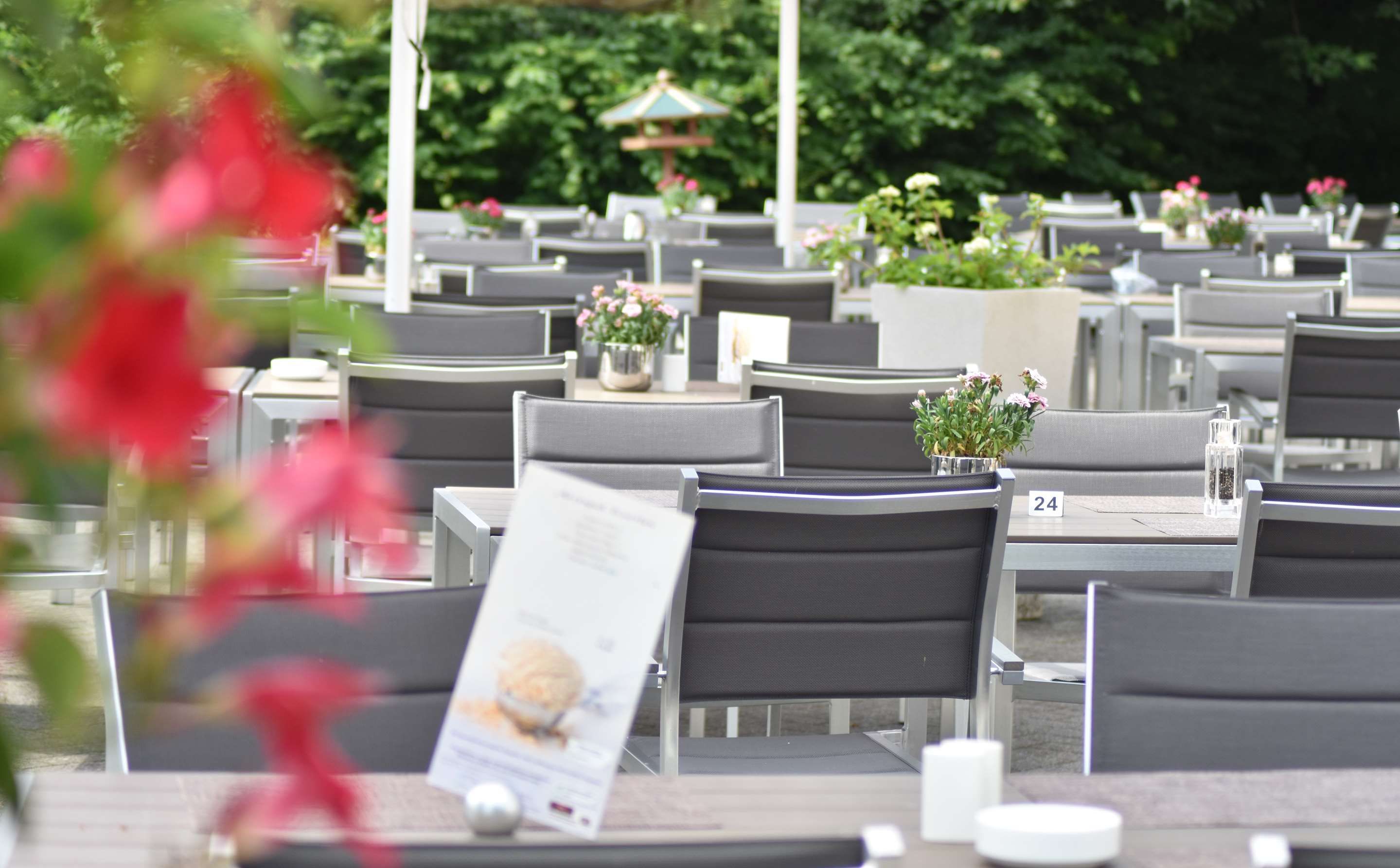 נוחות המלון