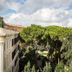 נוף חיצוני