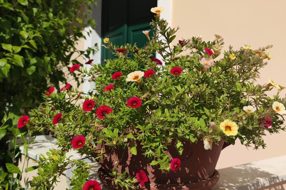 נוף חיצוני