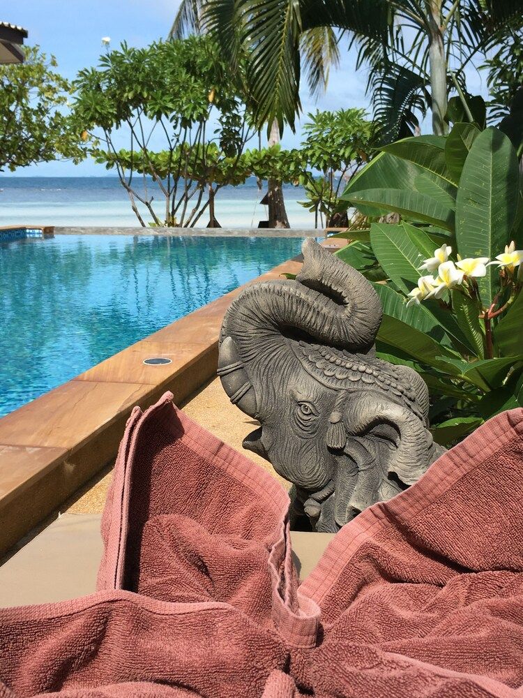 בריכה תמונה