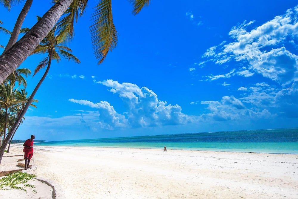 חוף תמונה