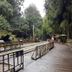 נוף חיצוני