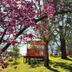 נוף חיצוני