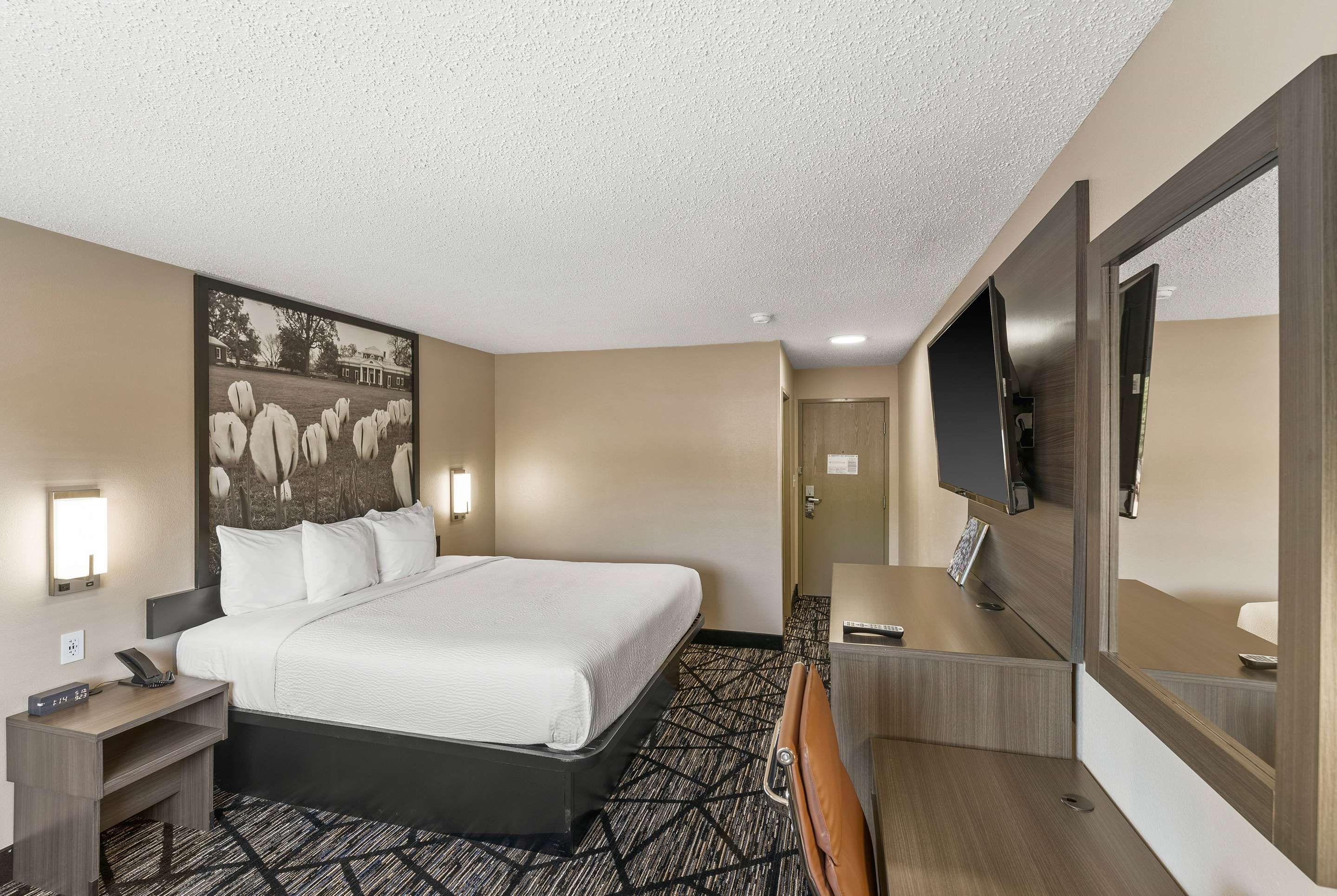 חדר שינה תמונה