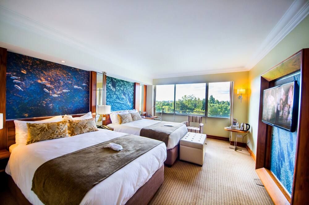 חדר שינה תמונה