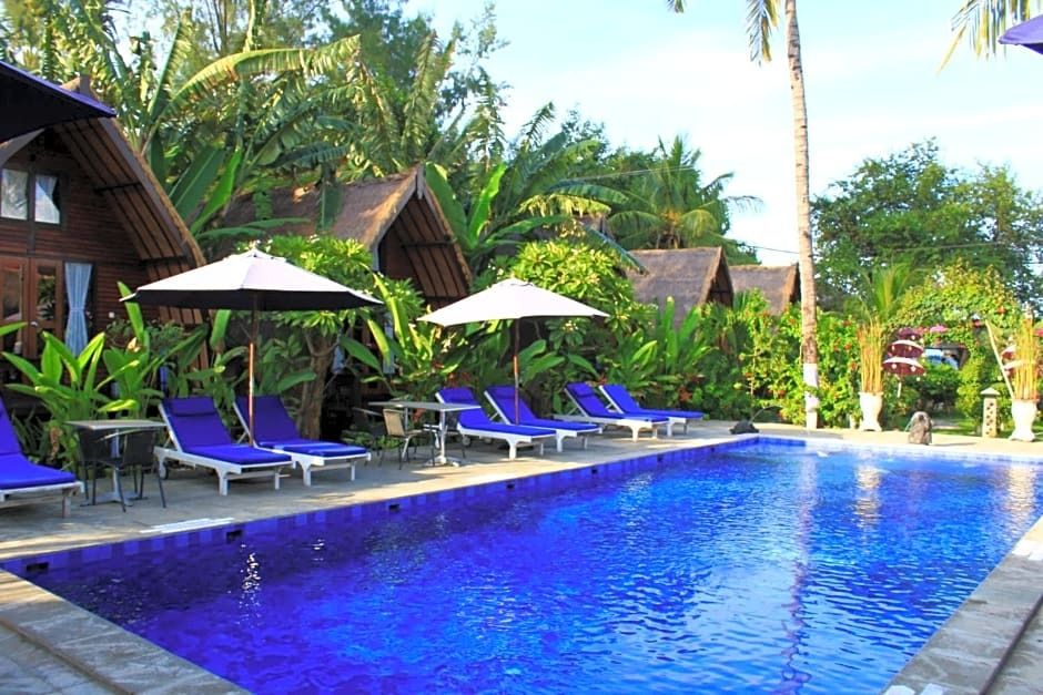 בריכה תמונה