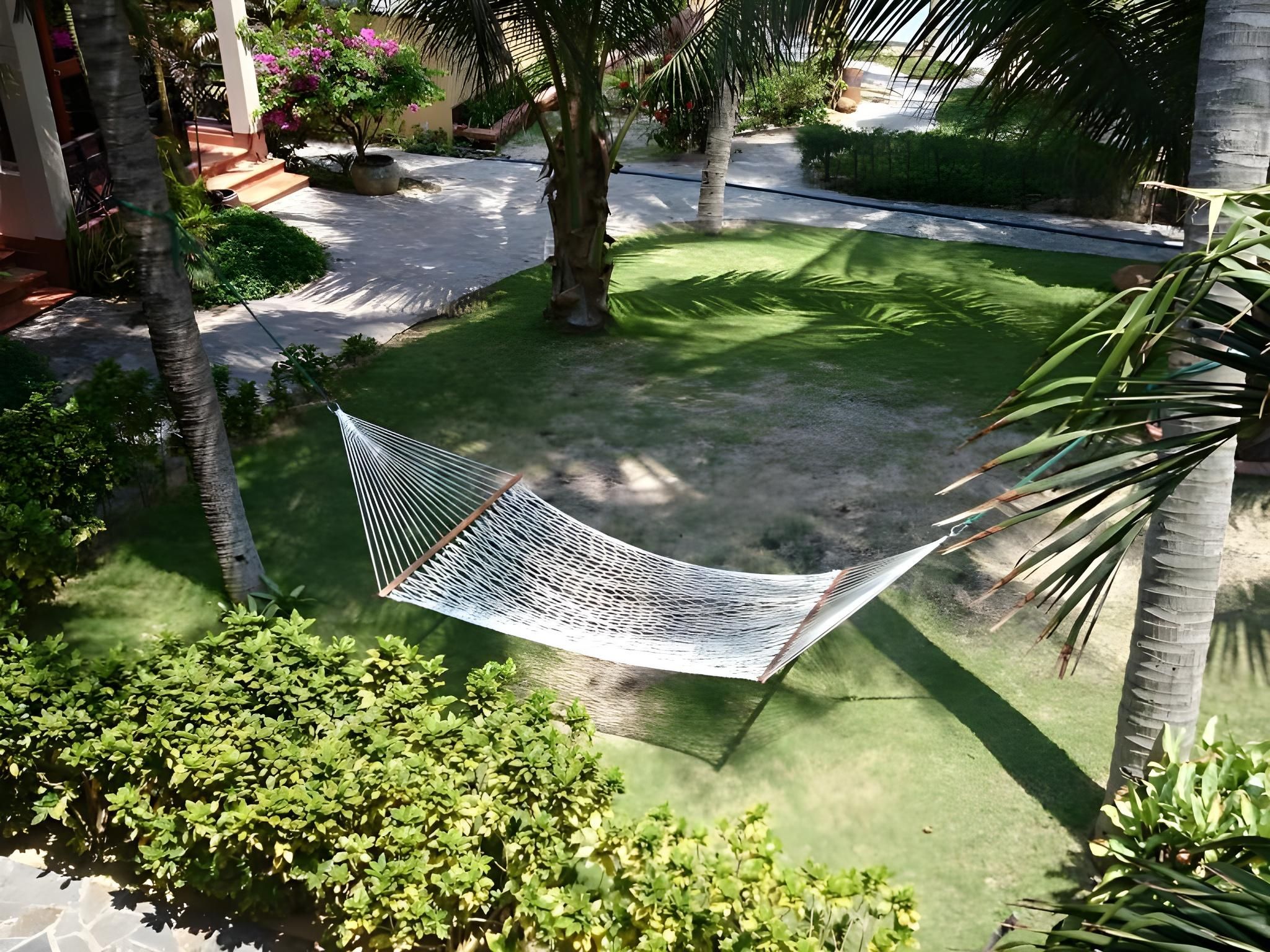 פטיו