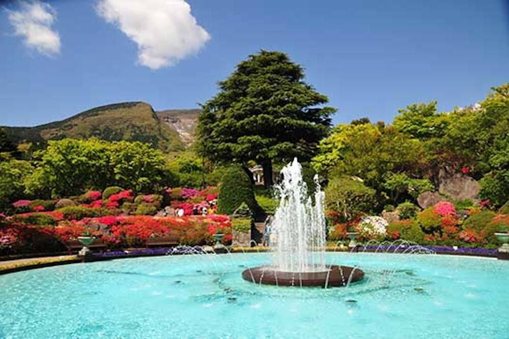 בריכה תמונה