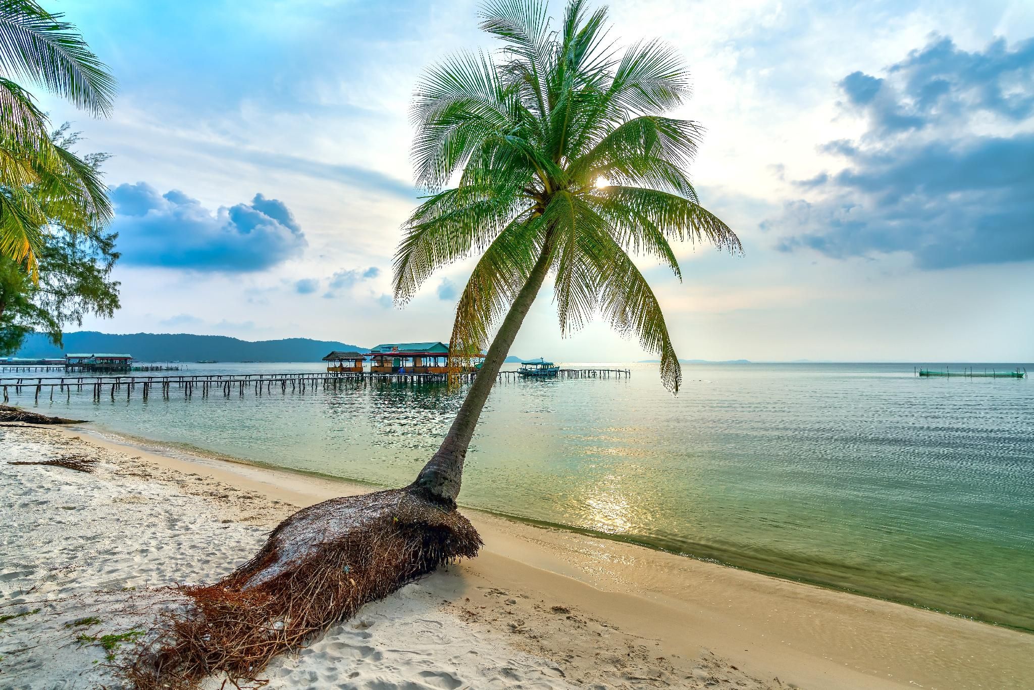 חוף תמונה