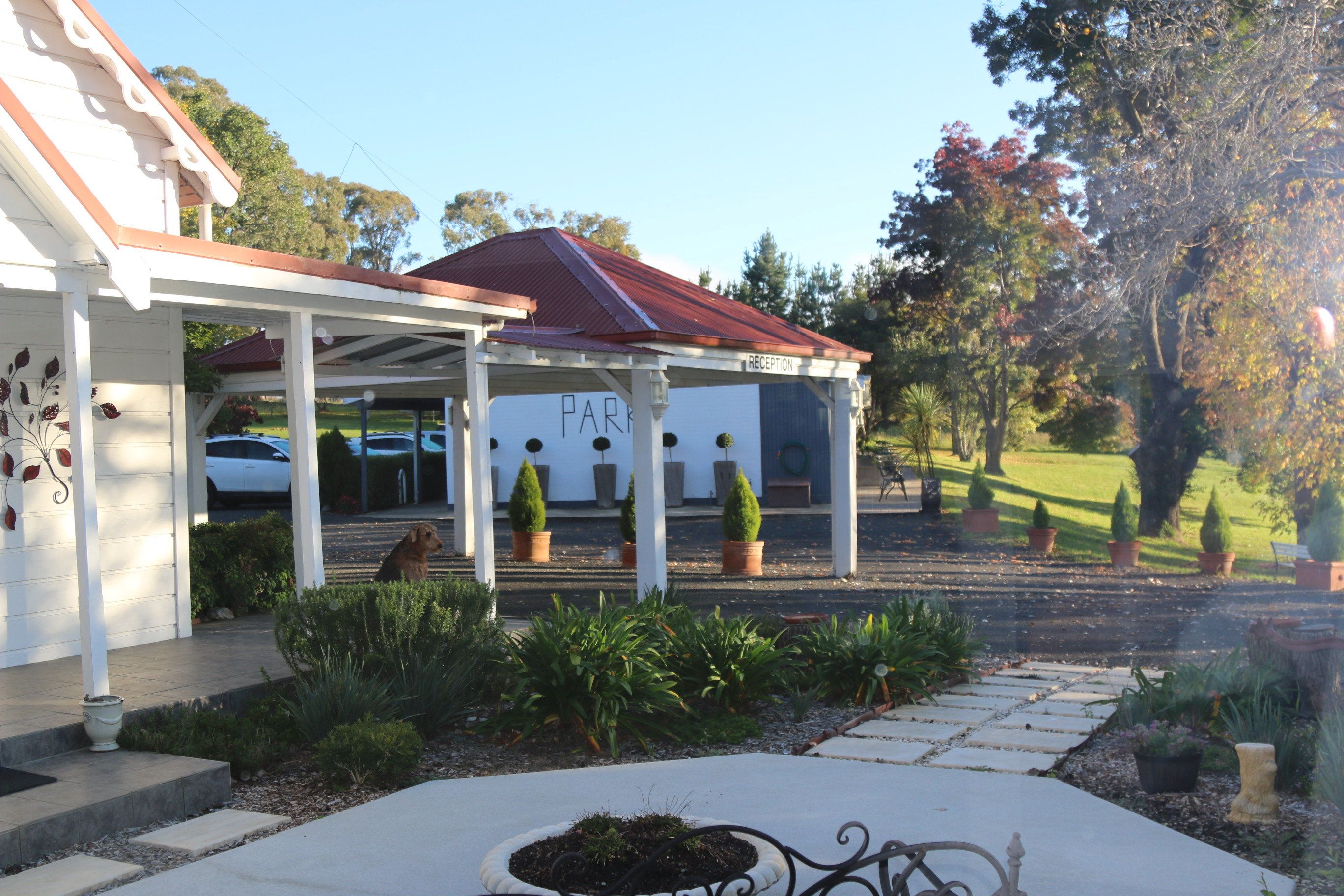 נוחות המלון תמונה