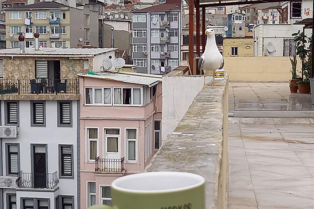 נוף חיצוני