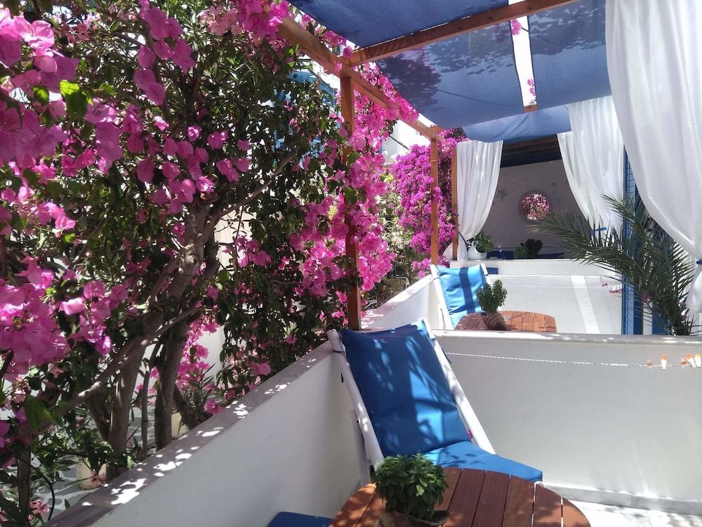 פטיו