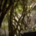 אחר