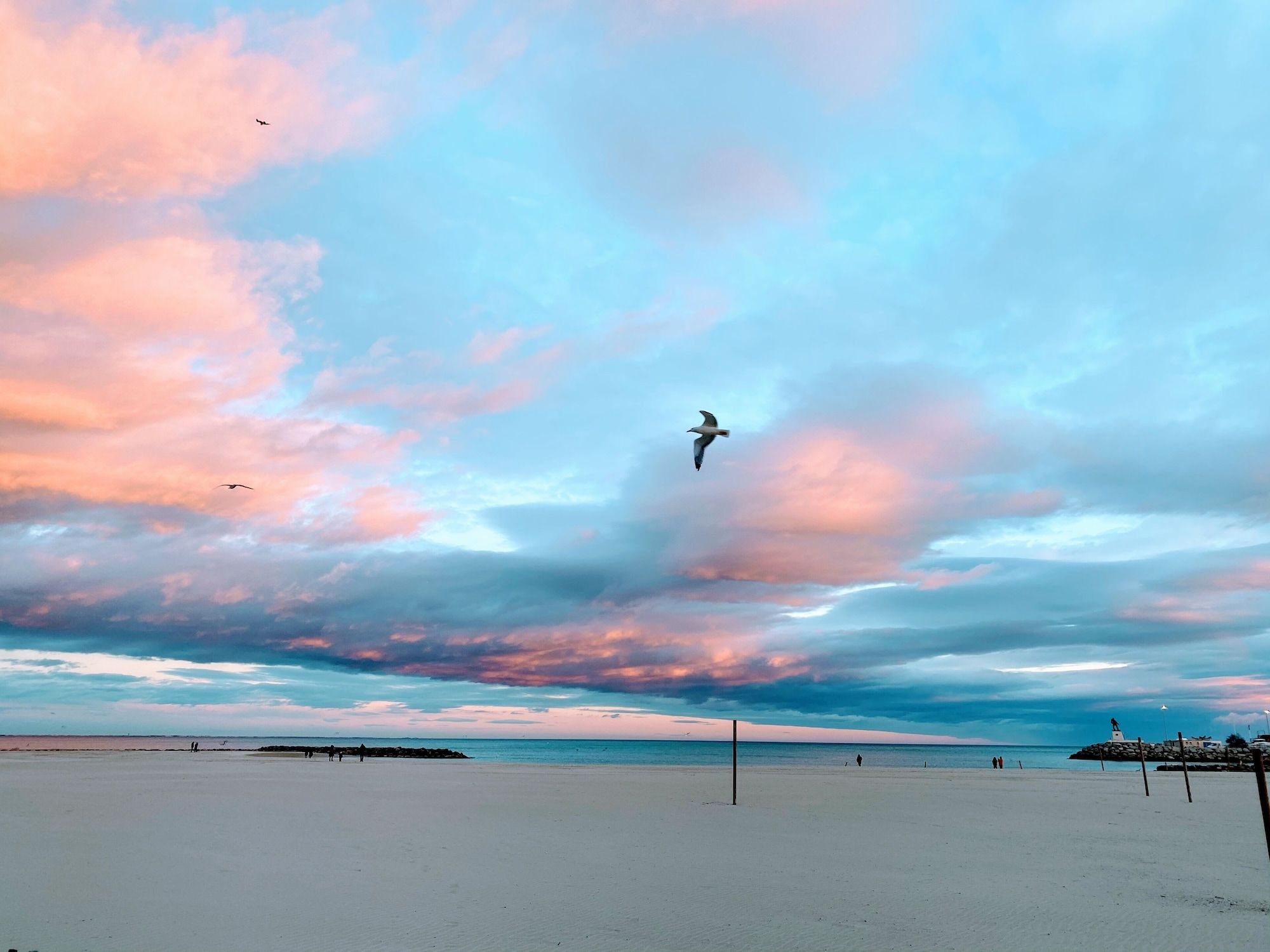 חוף