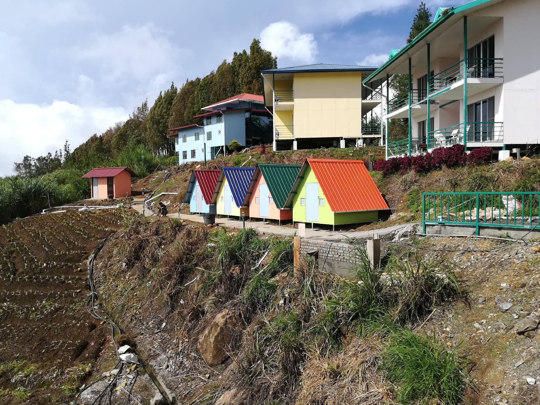 בניין תמונה