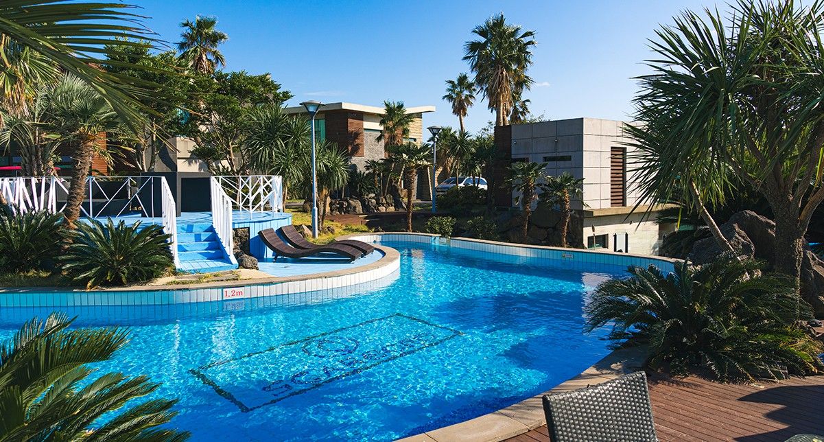 בריכה תמונה