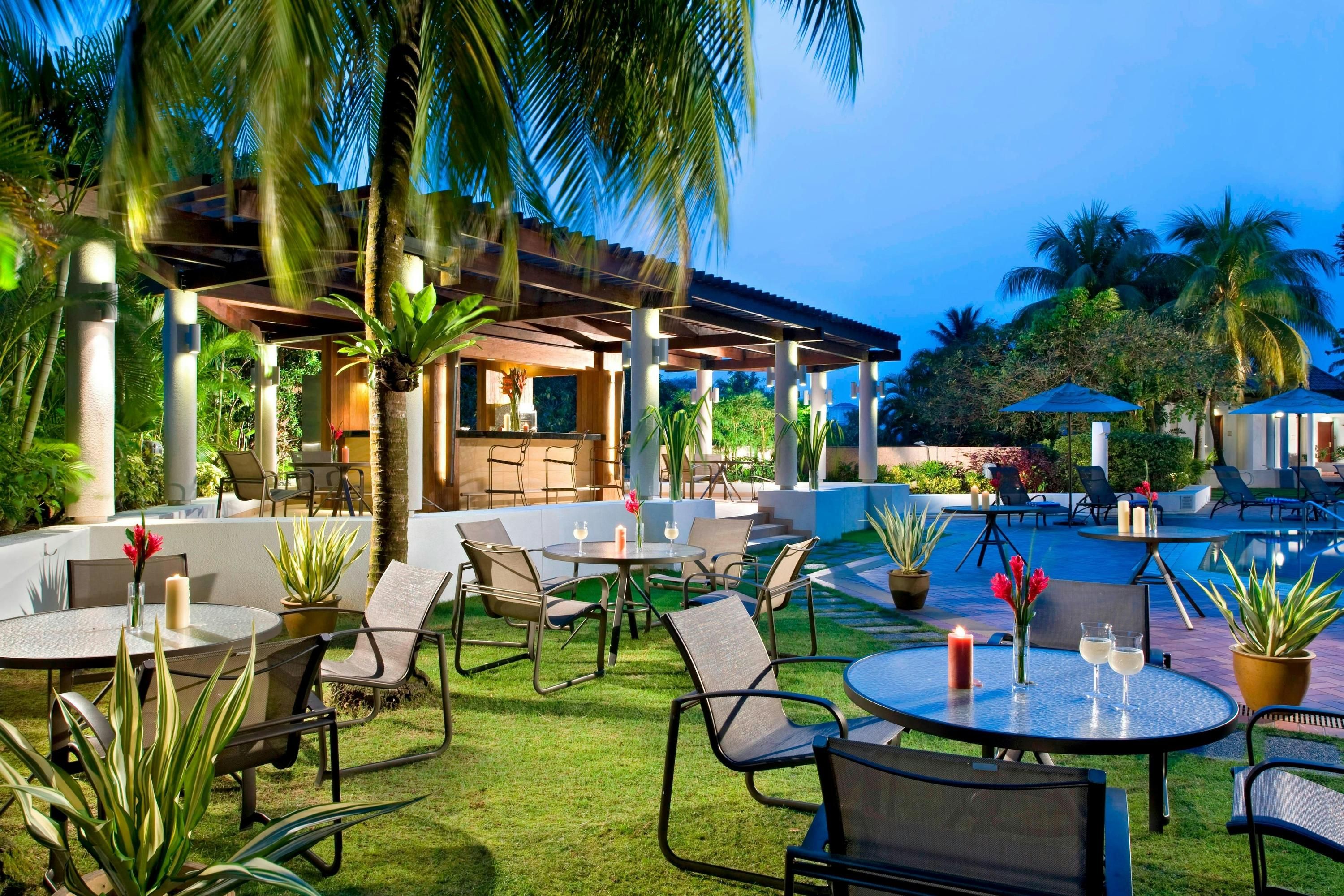 מסעדה תמונה