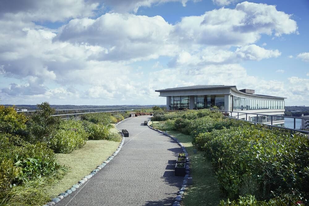 נוף חיצוני
