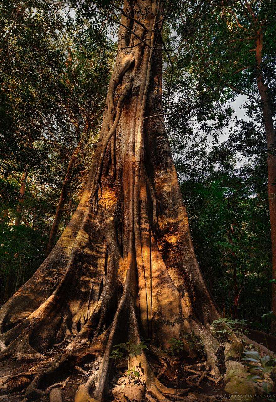 נוחות המלון