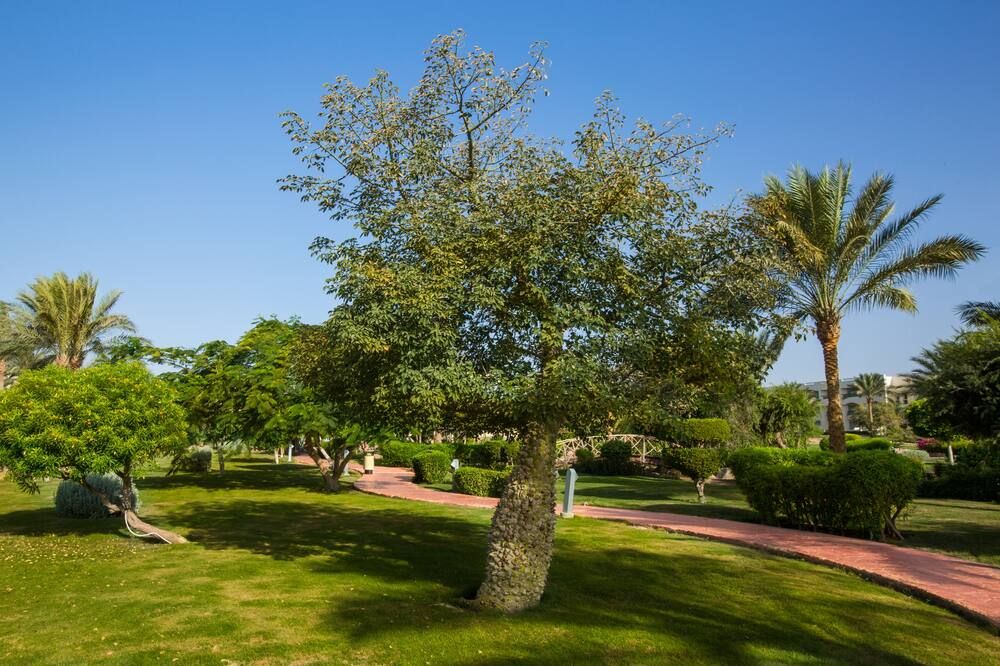 נוף חיצוני