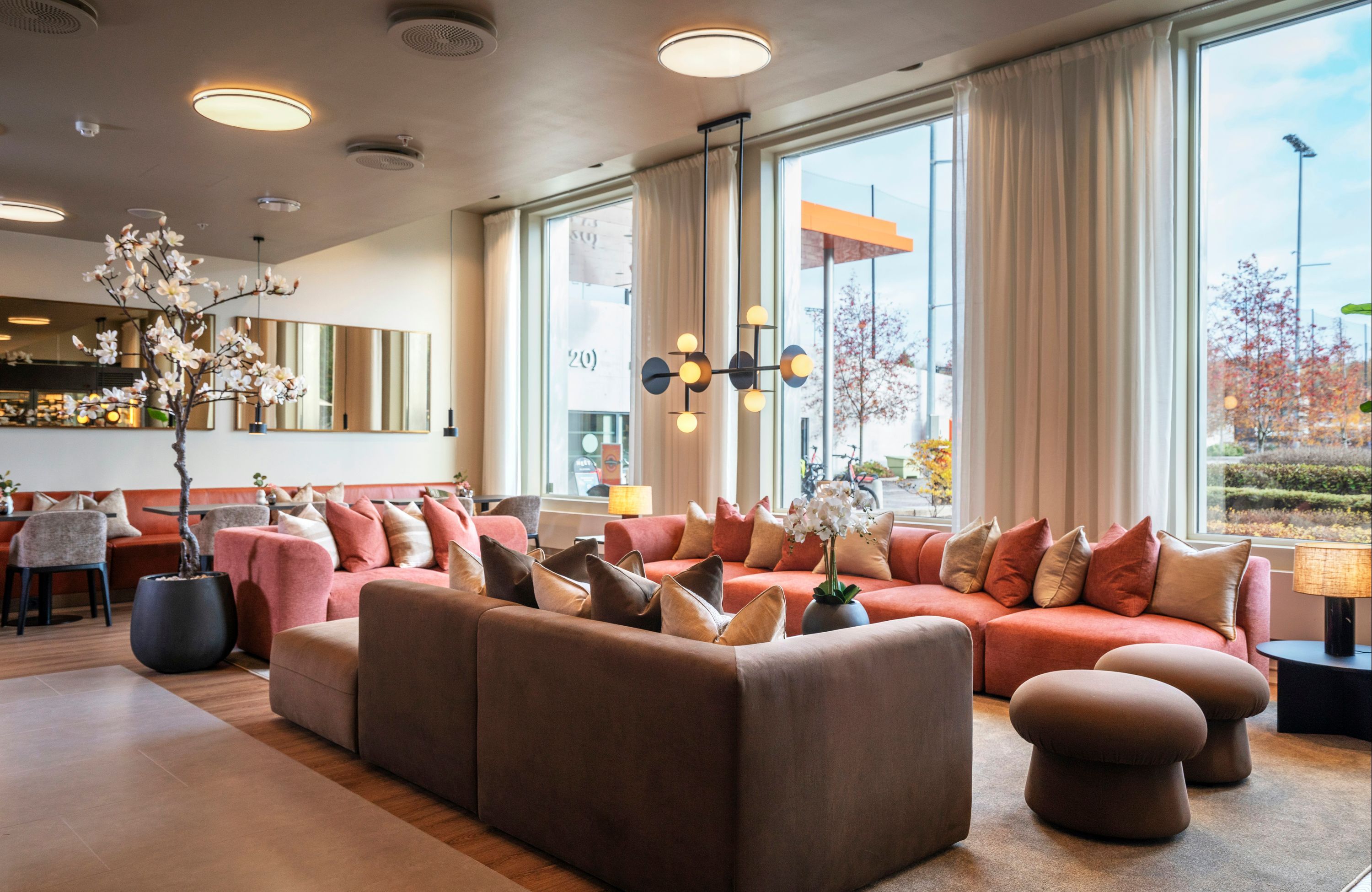 טרקלין תמונה