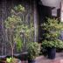 נוף חיצוני