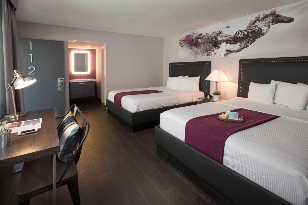 חדר שינה תמונה