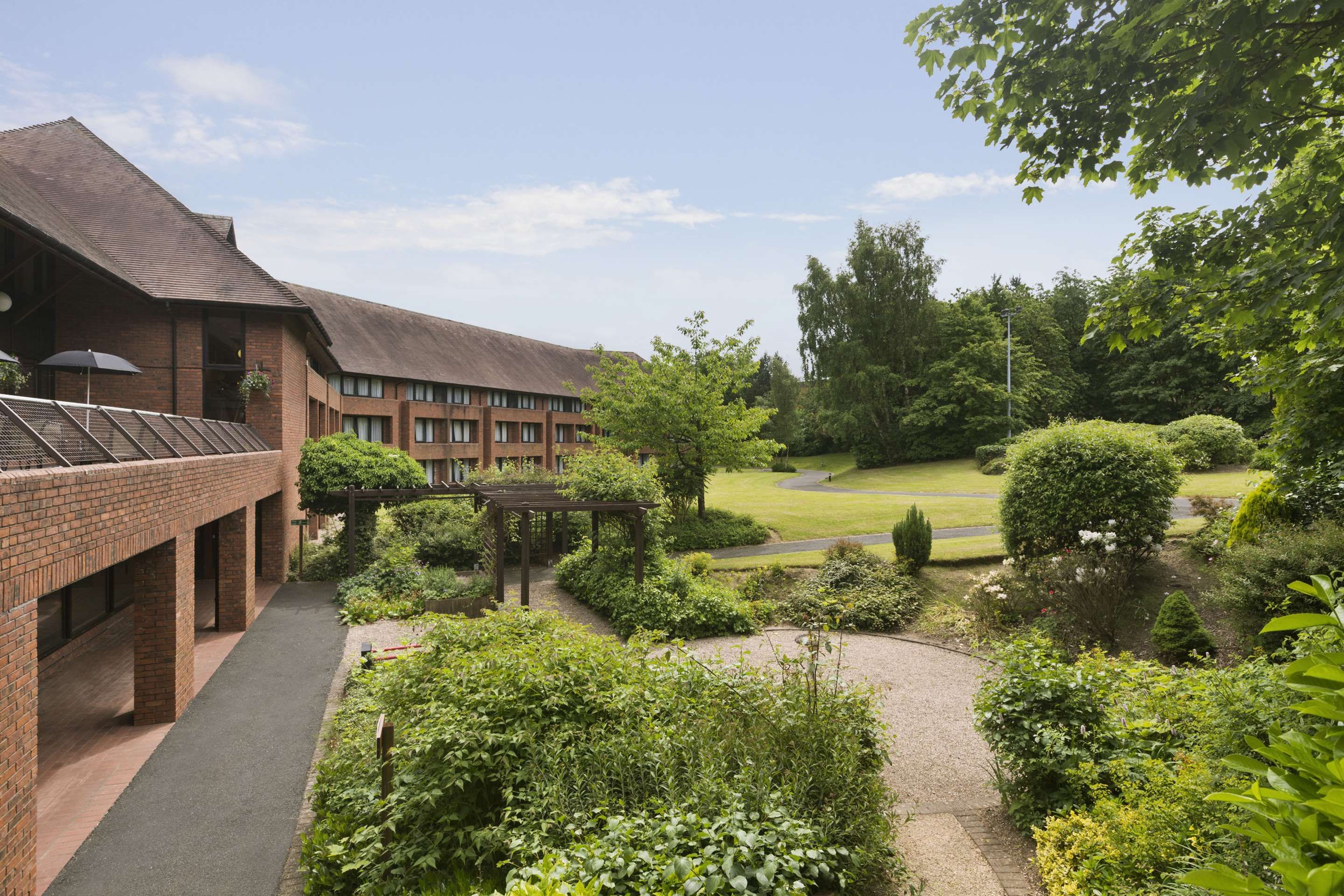 נוחות המלון תמונה