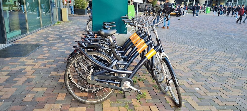 נוחות המלון