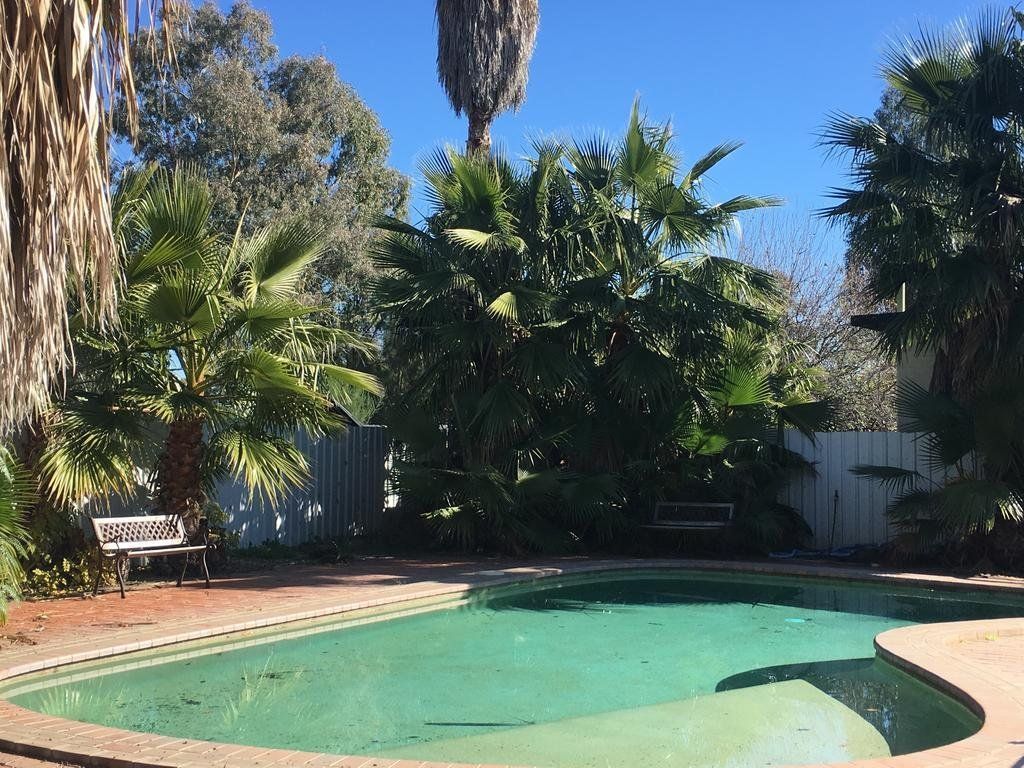 בריכה תמונה