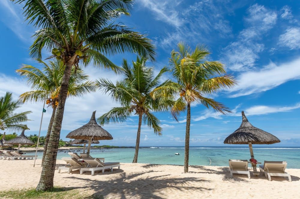 חוף תמונה