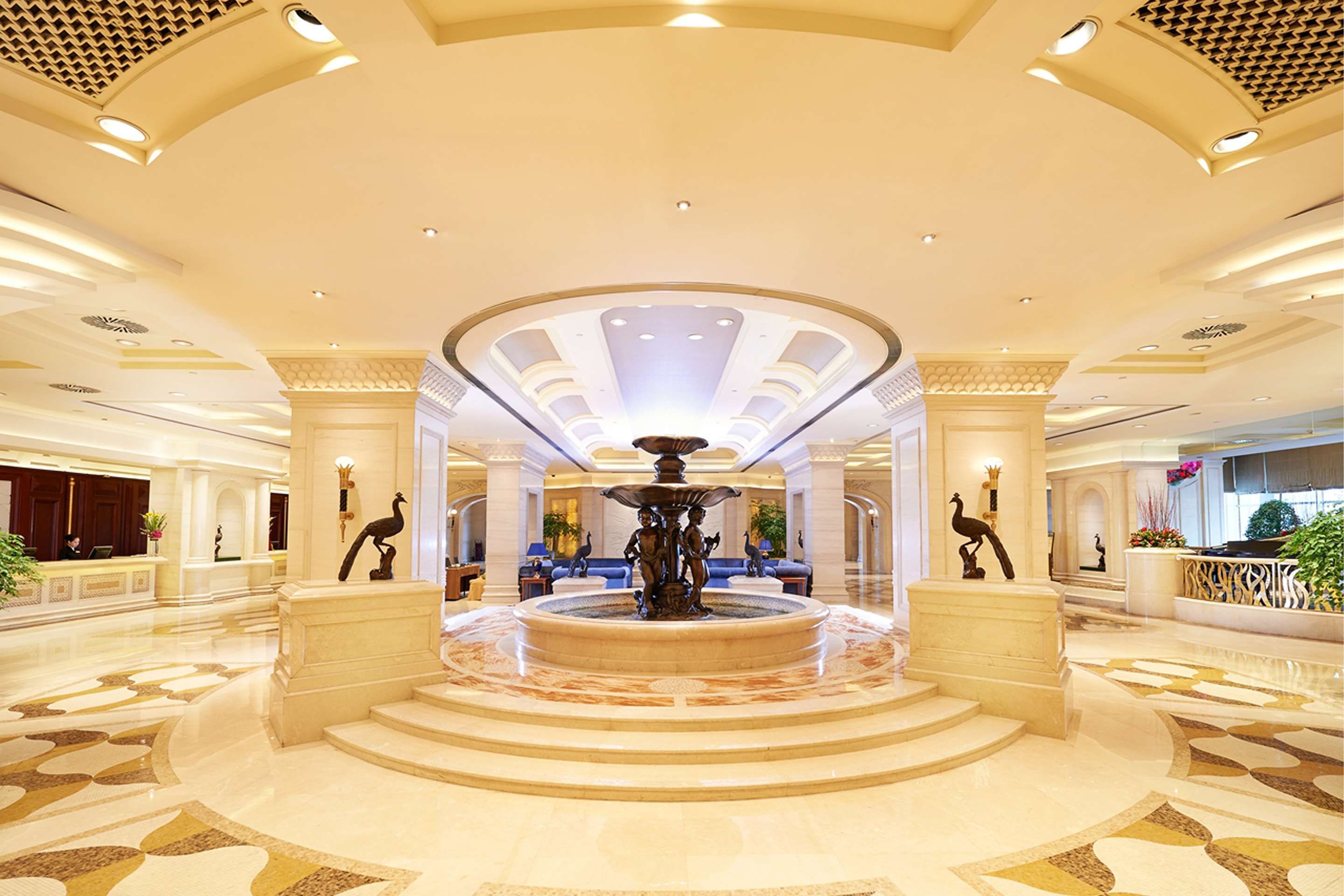 לובי תמונה
