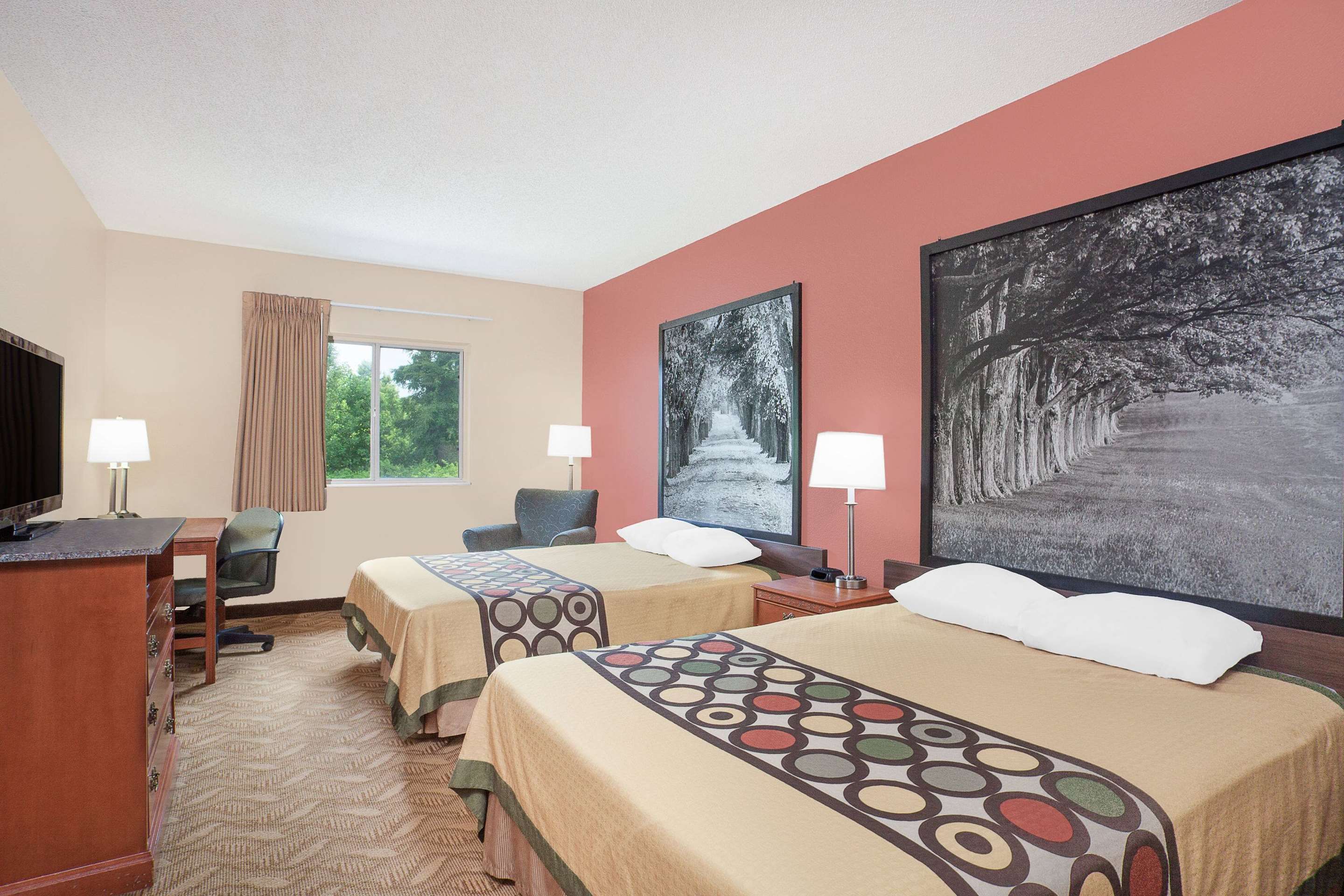 חדר שינה תמונה