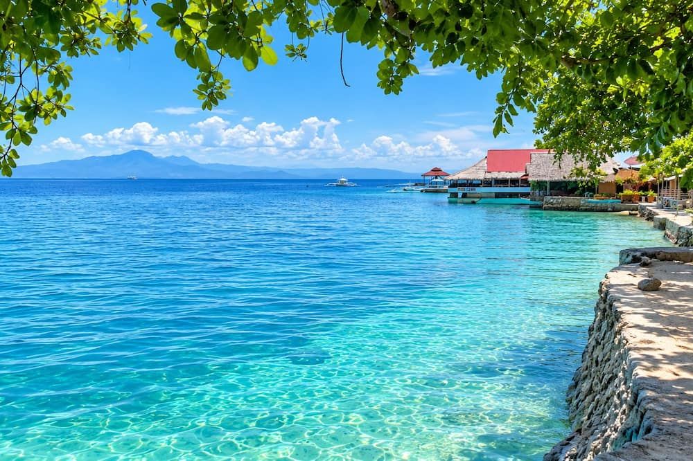 חוף תמונה