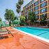 בריכה