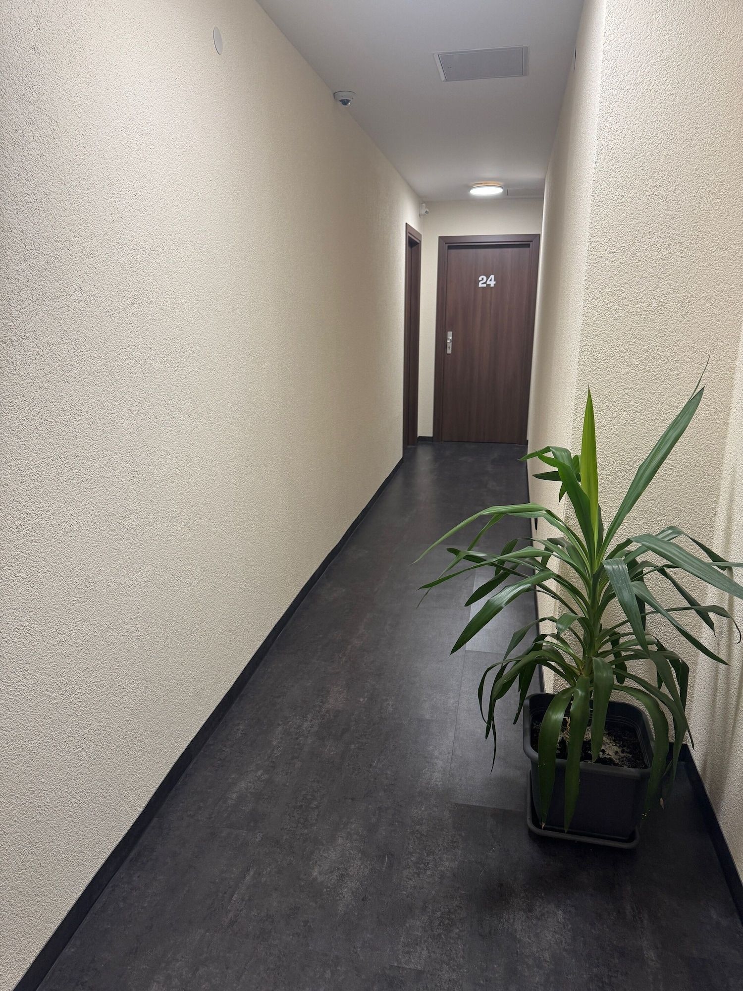 מסדרון תמונה