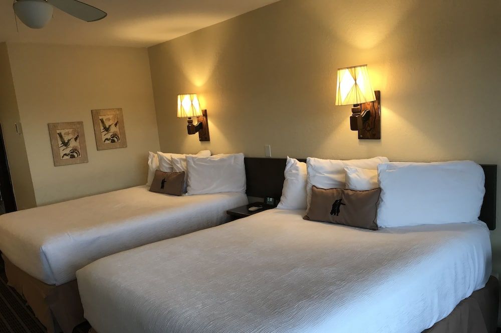 חדר שינה תמונה