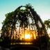 נוף חיצוני