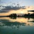 בריכה