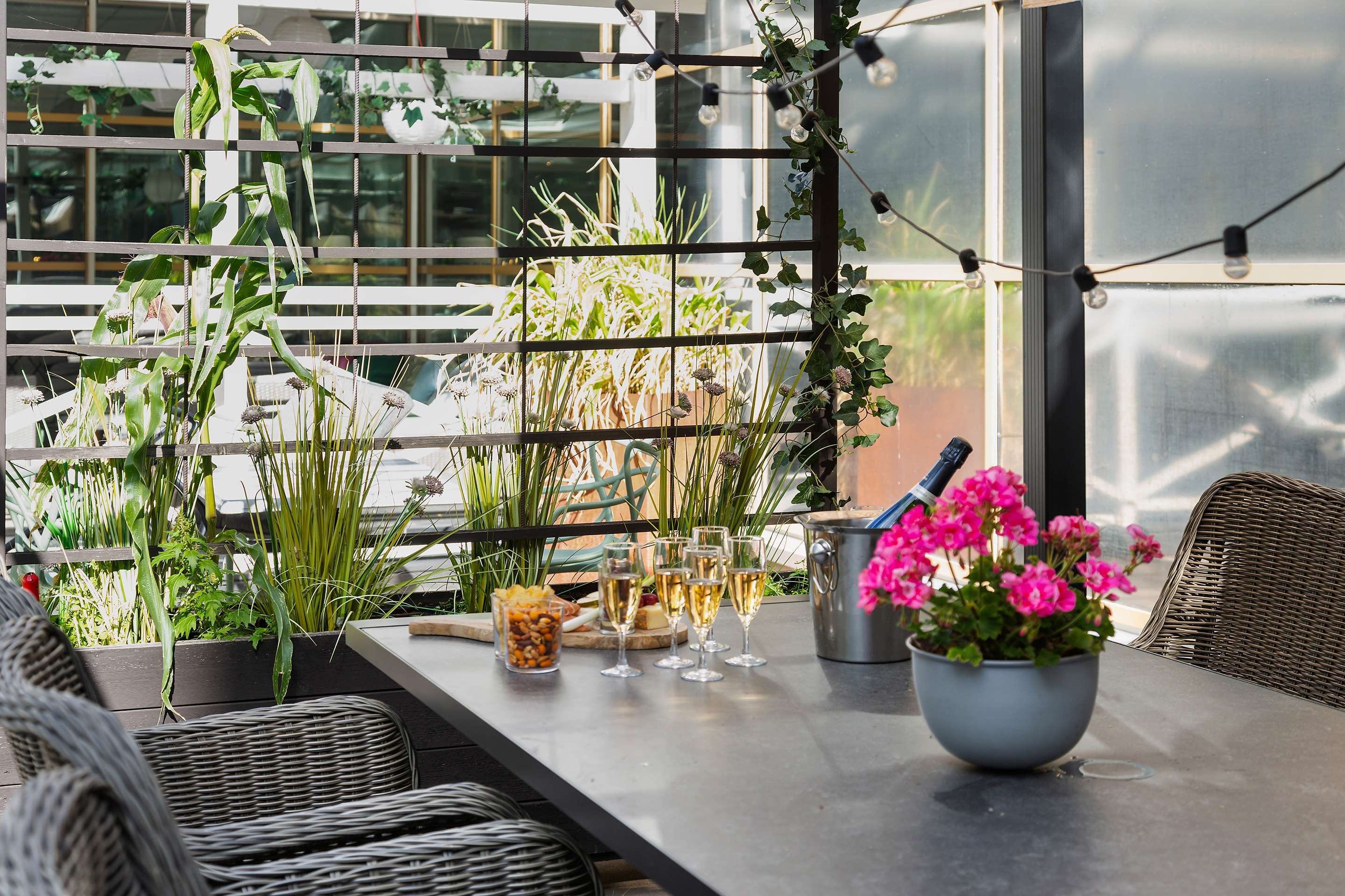 נוחות המלון