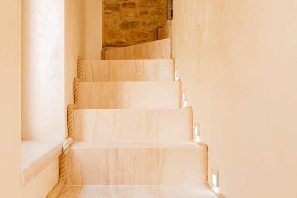 מדרגות תמונה