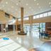 לובי