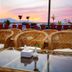 מרפסת