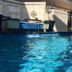 בריכה