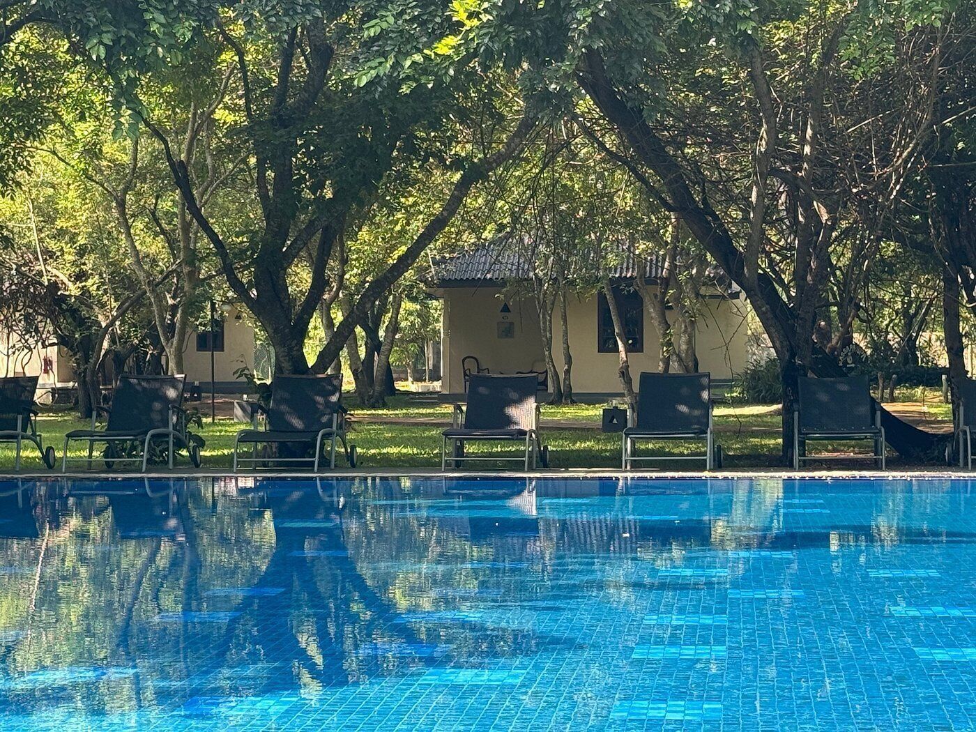 בריכה תמונה