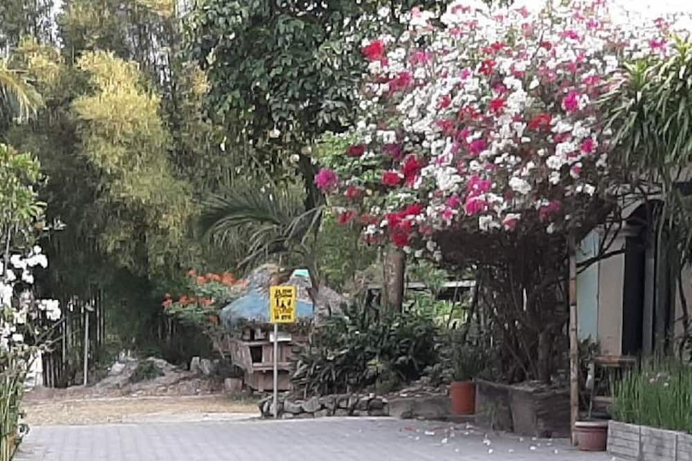 נוף חיצוני