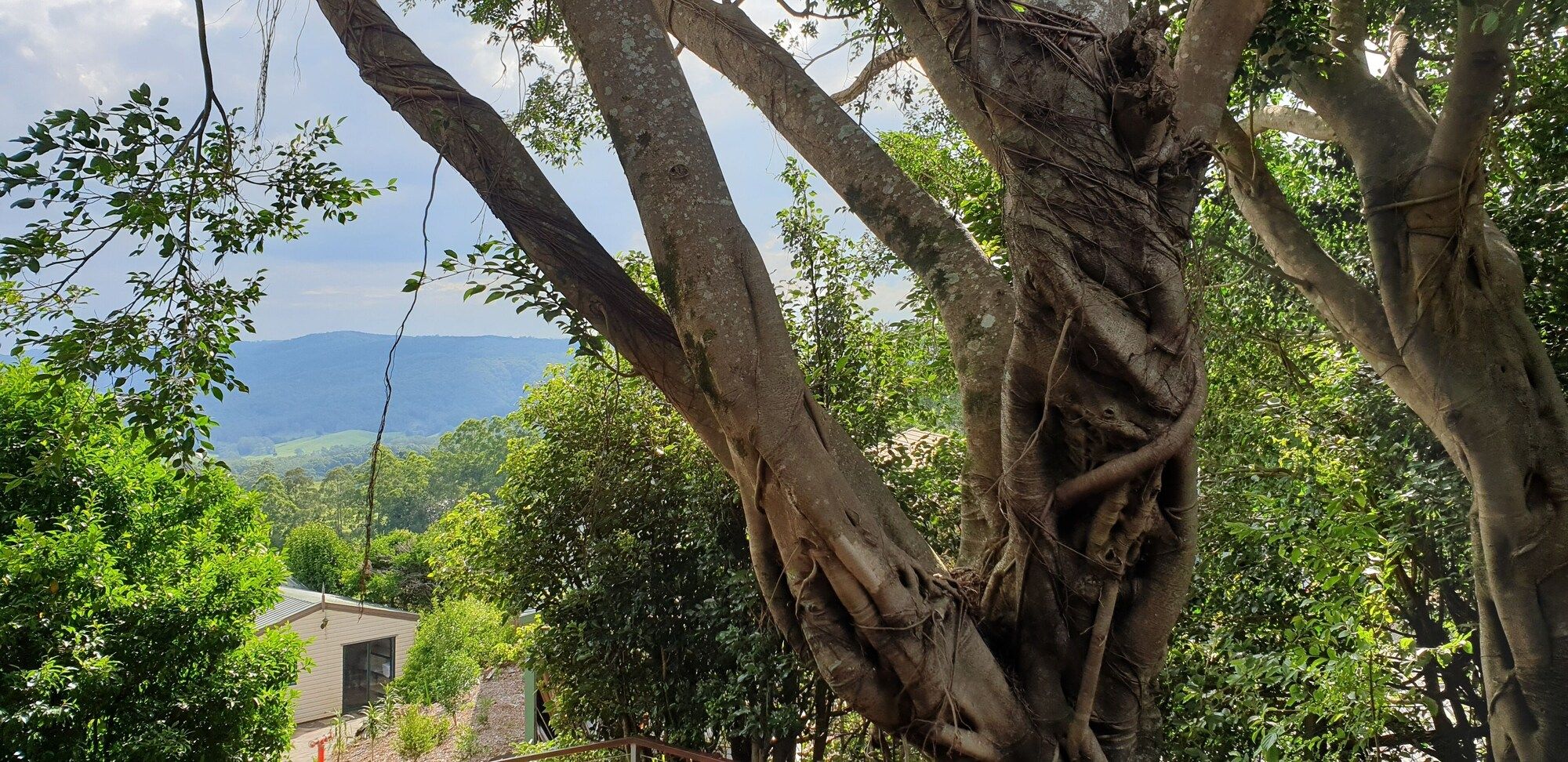 נוף חיצוני