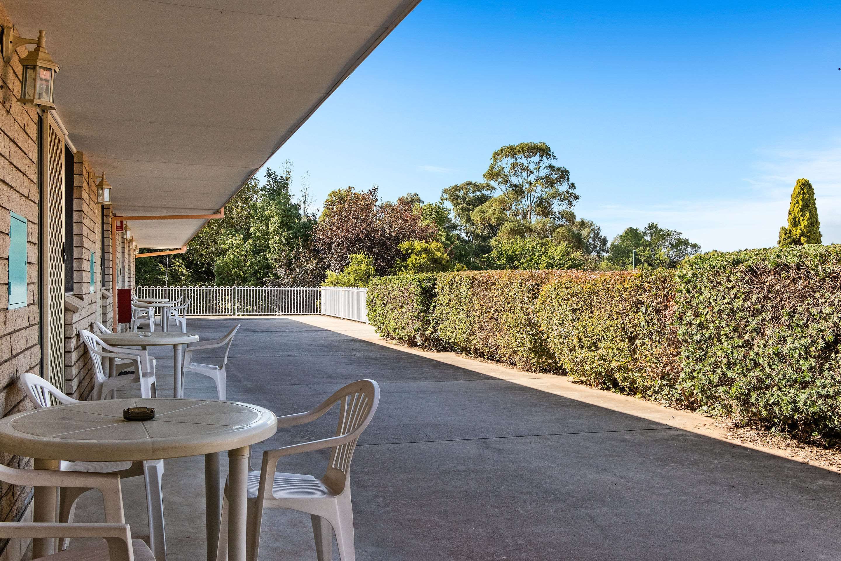 פטיו