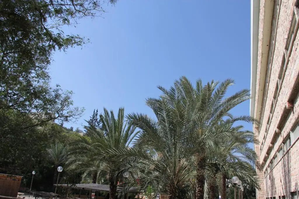 נוף חיצוני