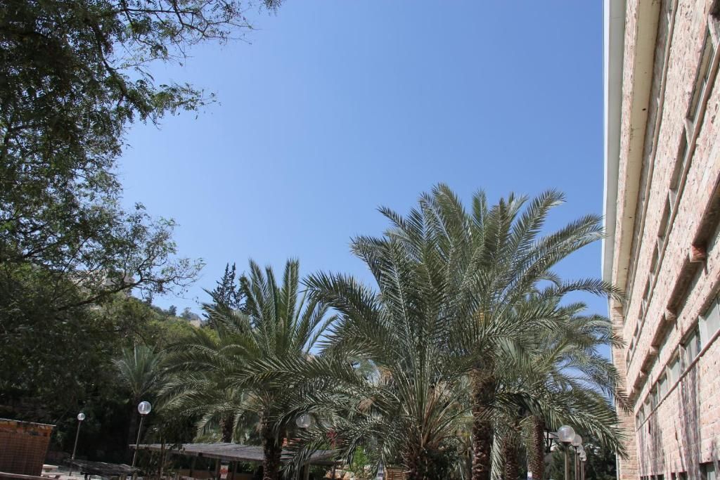 נוף חיצוני
